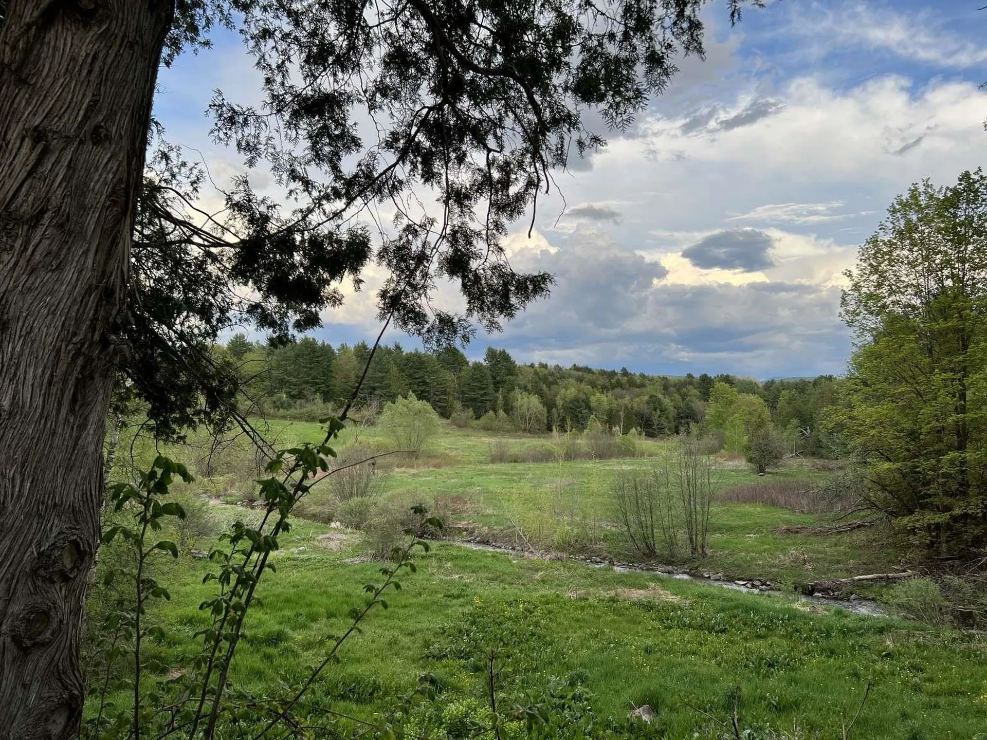 355 Woods Hollow Road Westford VT 05494