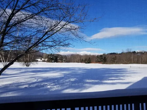 513 Stonybrook Road Stowe VT 05672