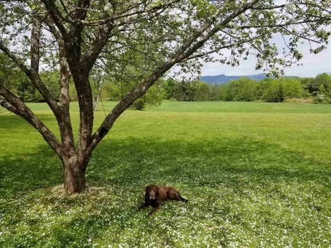 513 Stonybrook Road Stowe VT 05672