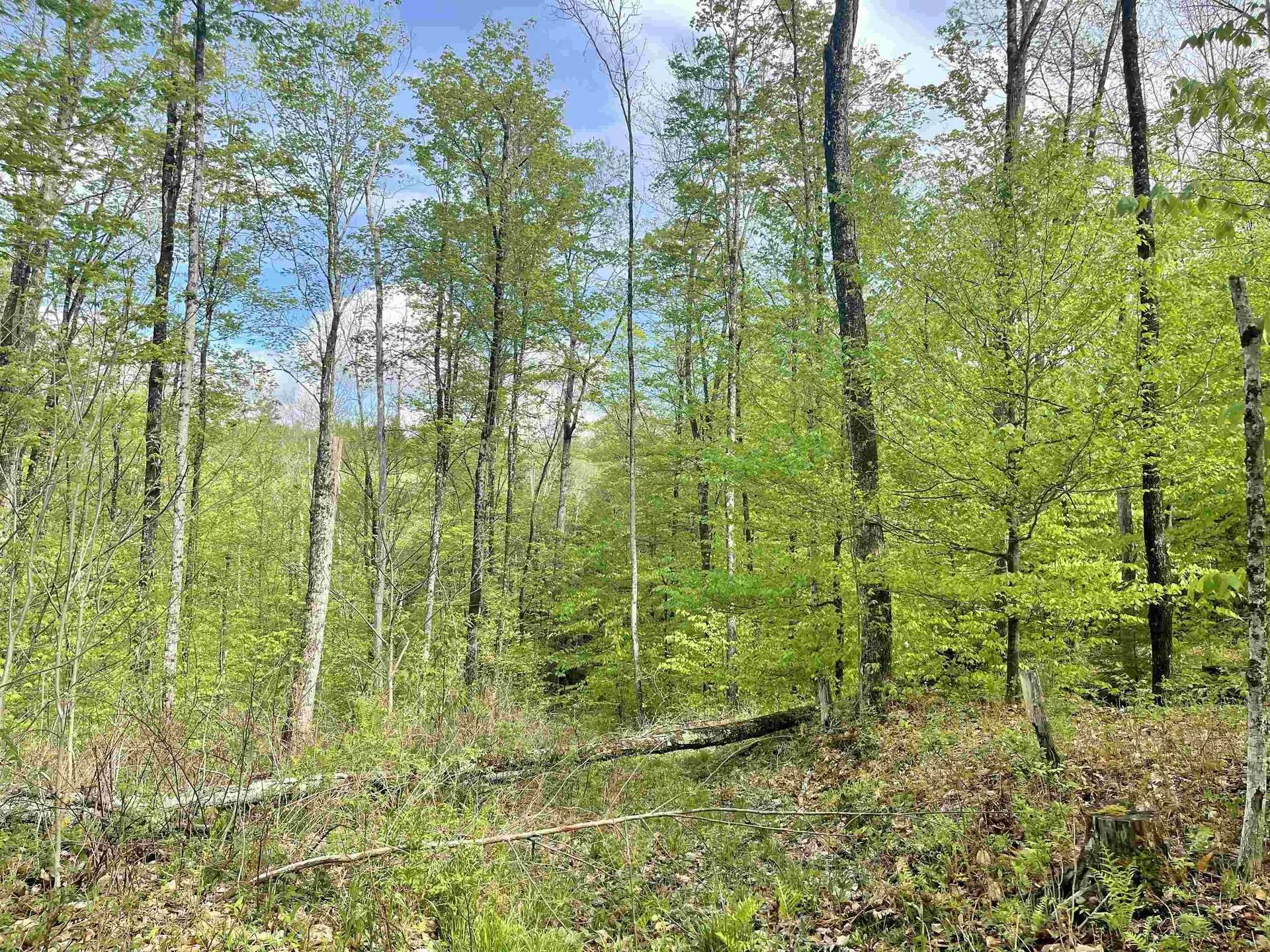 991 Old Post Road Bradford VT 05033
