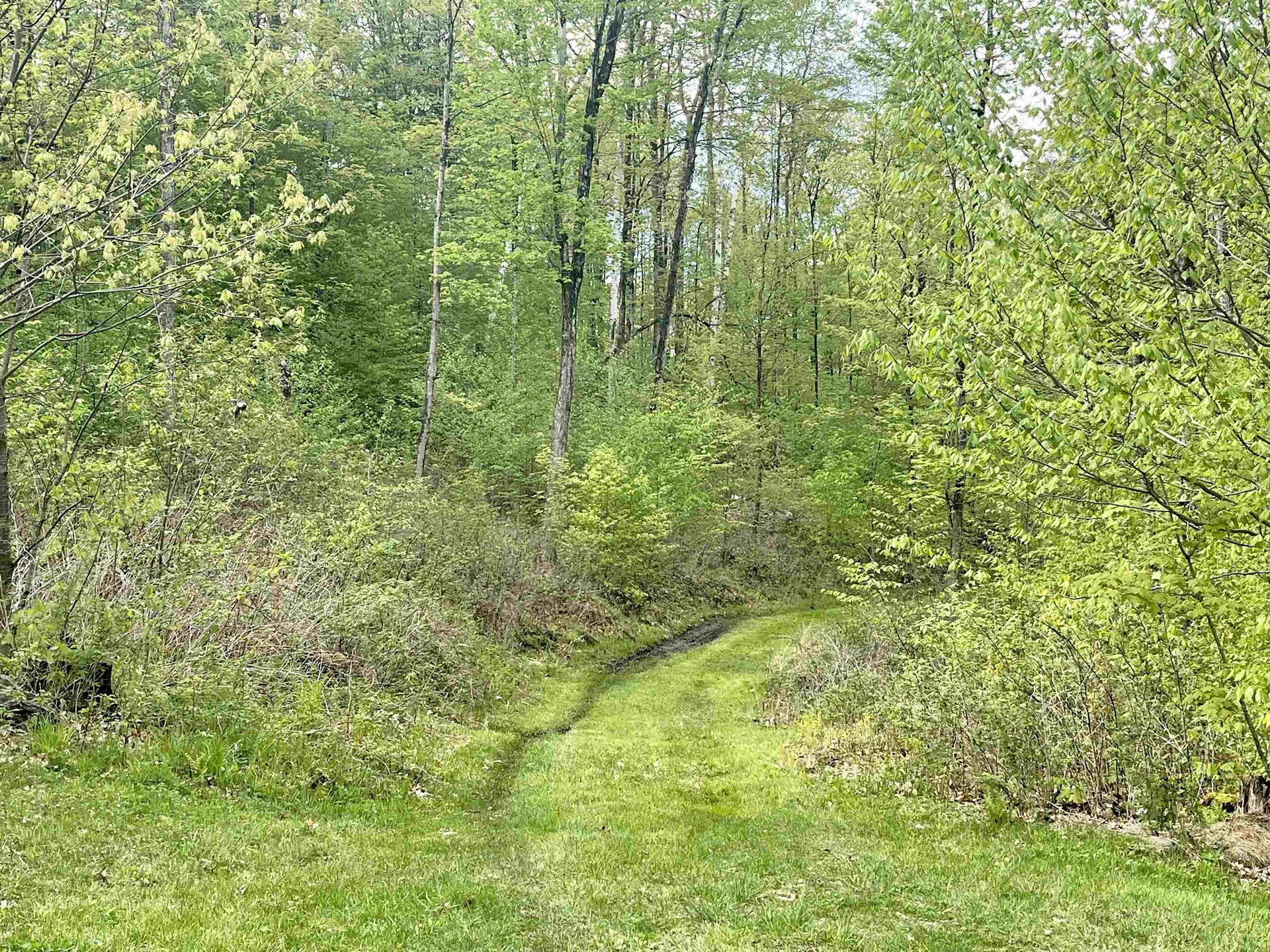 991 Old Post Road Bradford VT 05033