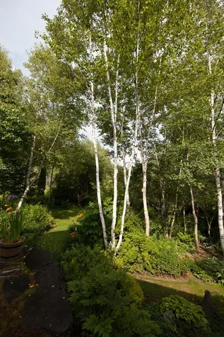 2650 Tampico Road Danville VT 05828