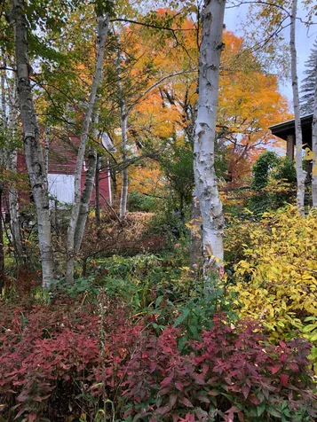 2650 Tampico Road Danville VT 05828