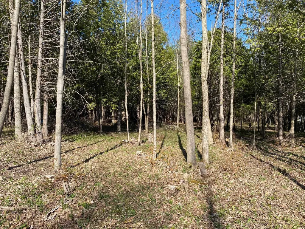 Lot 3 Goldsbury Woods Road Barre Town VT 05641