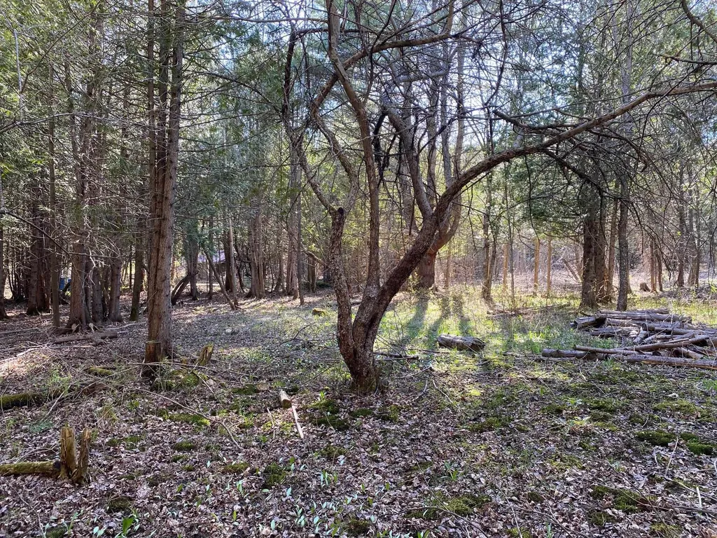 Lot 3 Goldsbury Woods Road Barre Town VT 05641