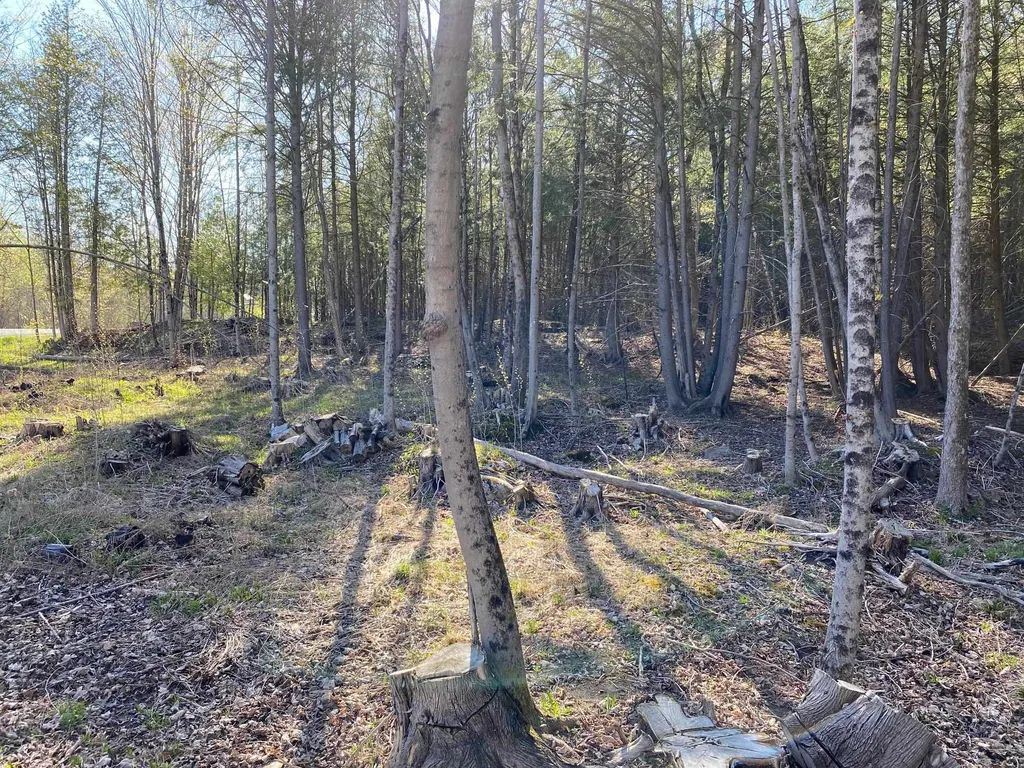 Lot 3 Goldsbury Woods Road Barre Town VT 05641