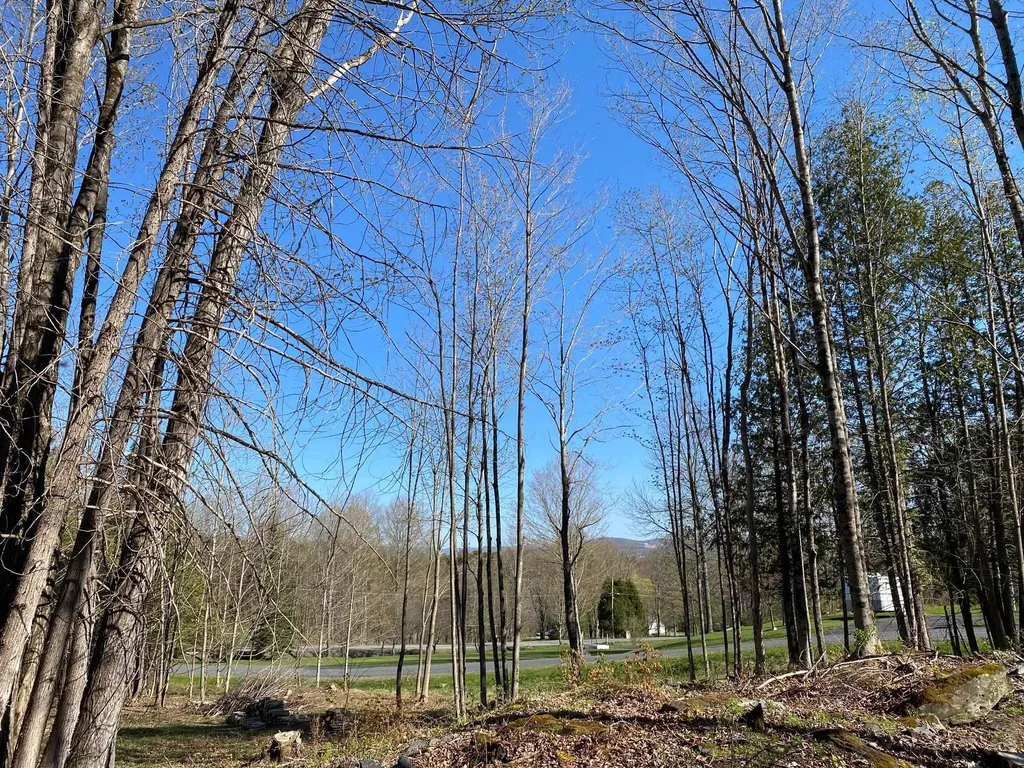 Lot 3 Goldsbury Woods Road Barre Town VT 05641