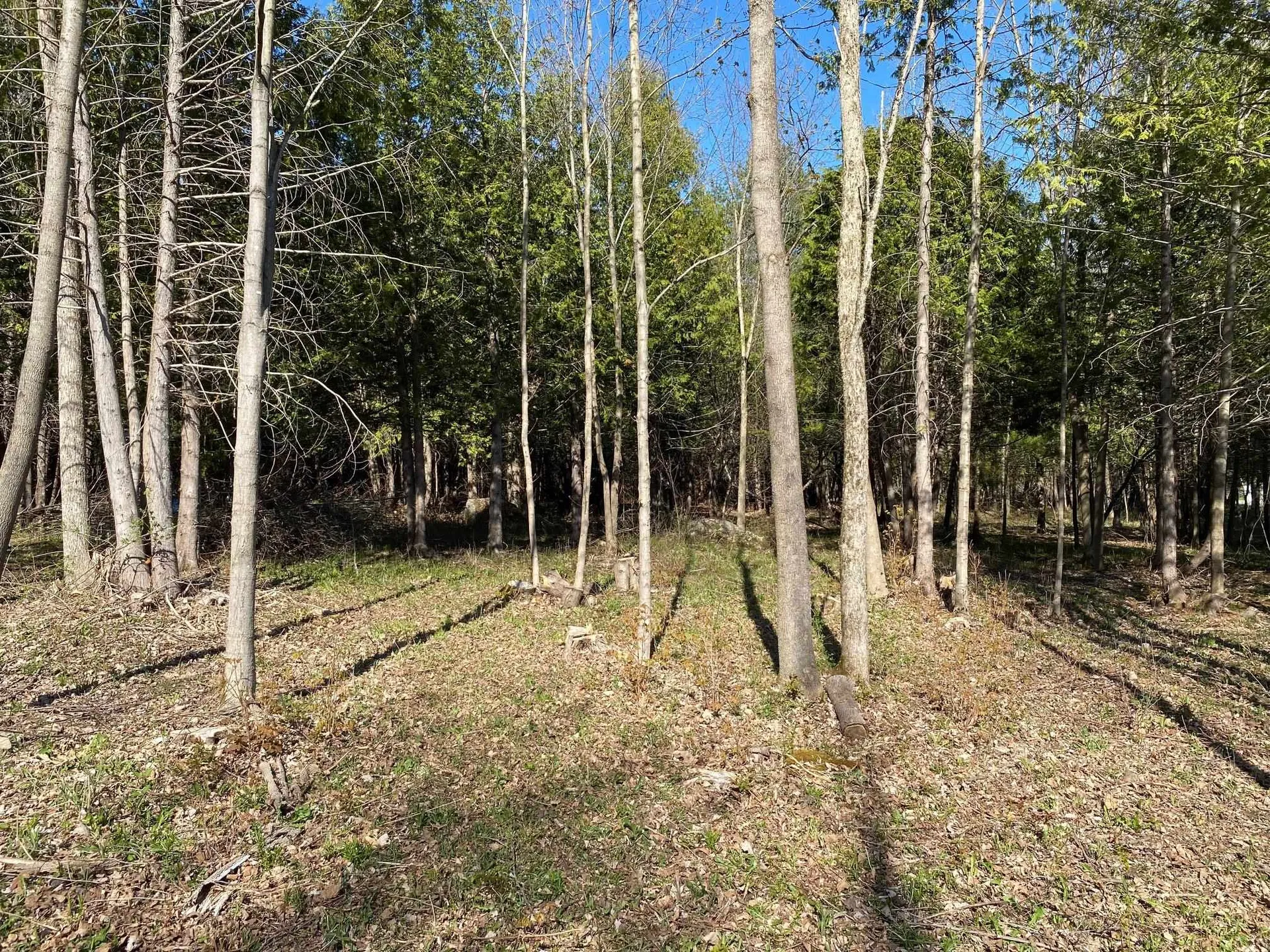 Lot 3 Goldsbury Woods Road Barre Town VT 05641