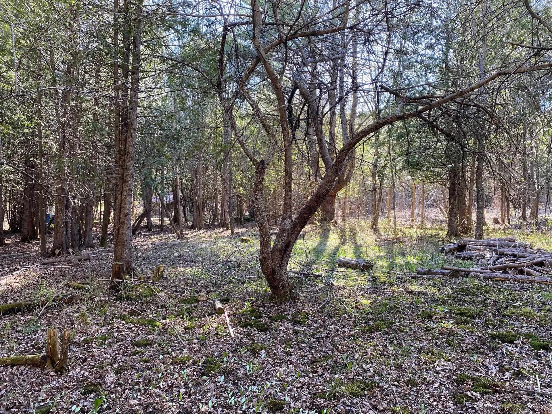 Lot 3 Goldsbury Woods Road Barre Town VT 05641