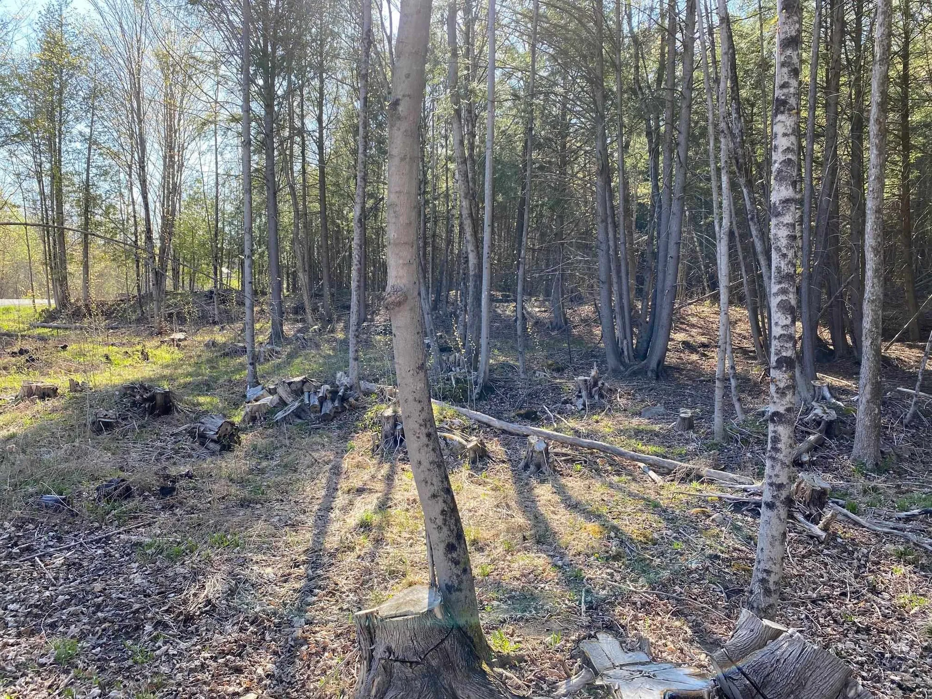 Lot 3 Goldsbury Woods Road Barre Town VT 05641