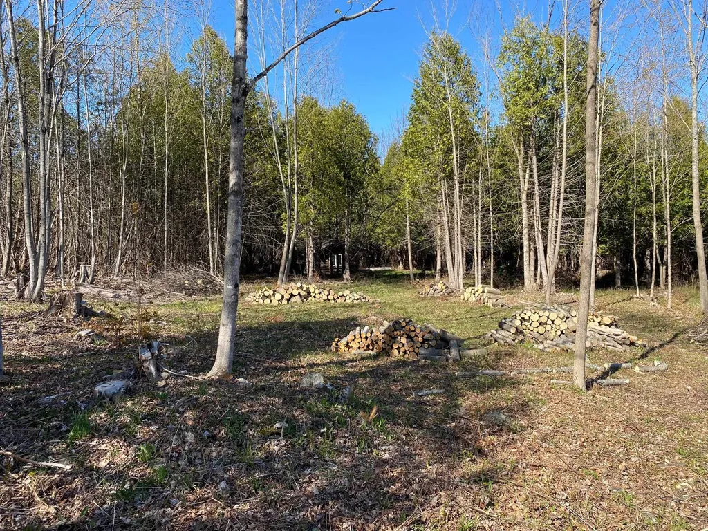 Lot 2 Goldsbury Woods Road Barre Town VT 05641