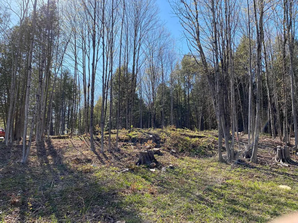 Lot 2 Goldsbury Woods Road Barre Town VT 05641