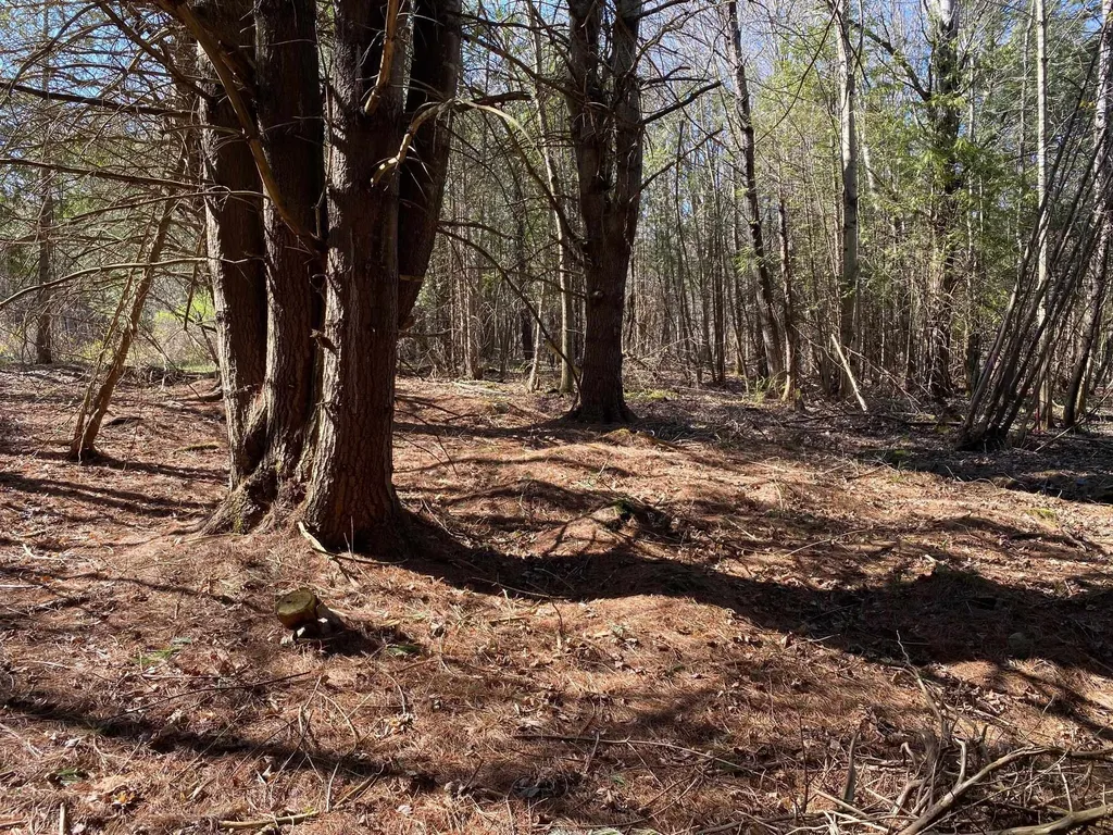 Lot 2 Goldsbury Woods Road Barre Town VT 05641