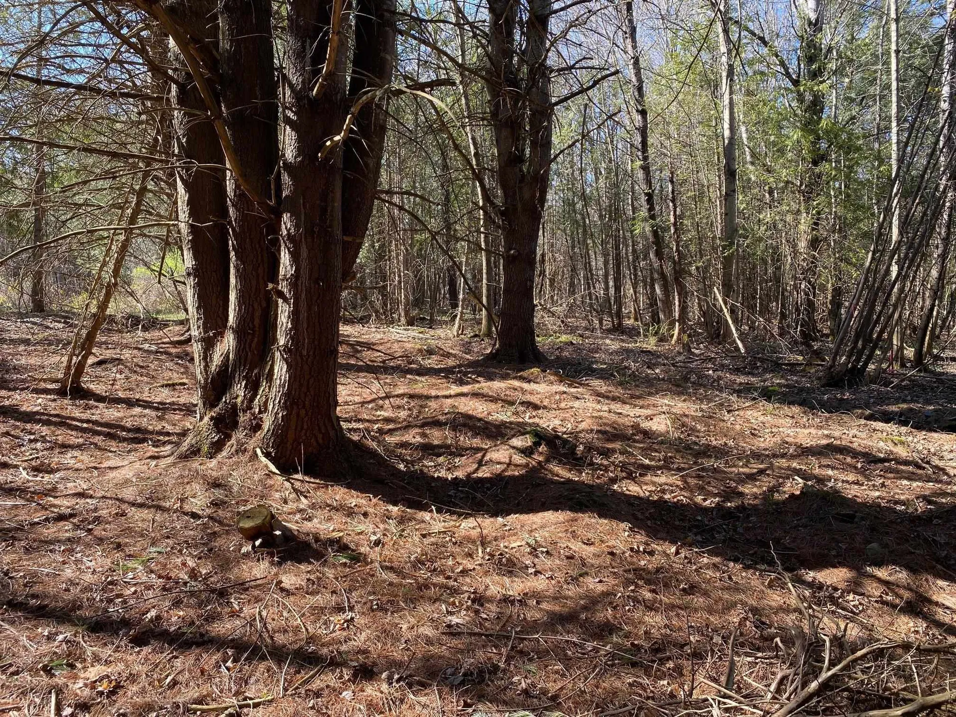 Lot 2 Goldsbury Woods Road Barre Town VT 05641