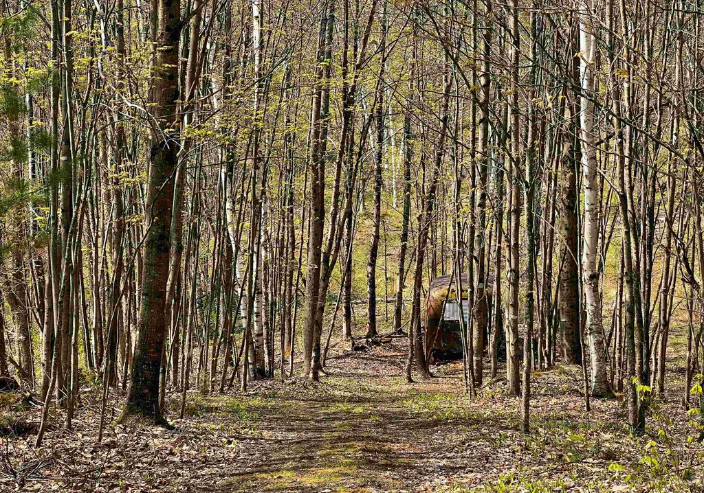 429 Whitehill Road Ryegate VT 05042