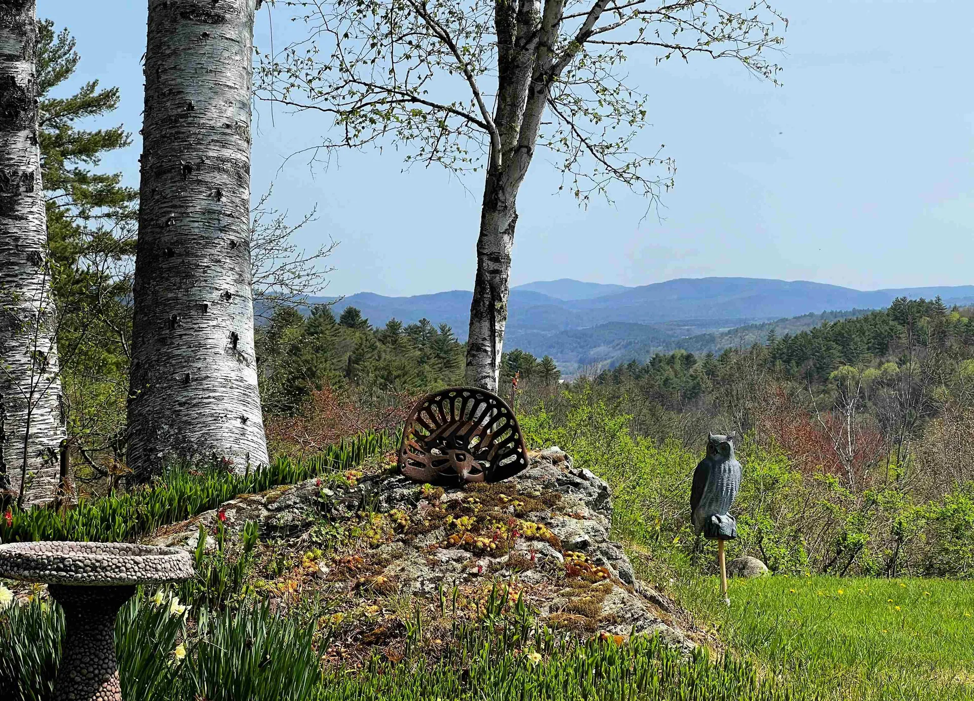 429 Whitehill Road Ryegate VT 05042