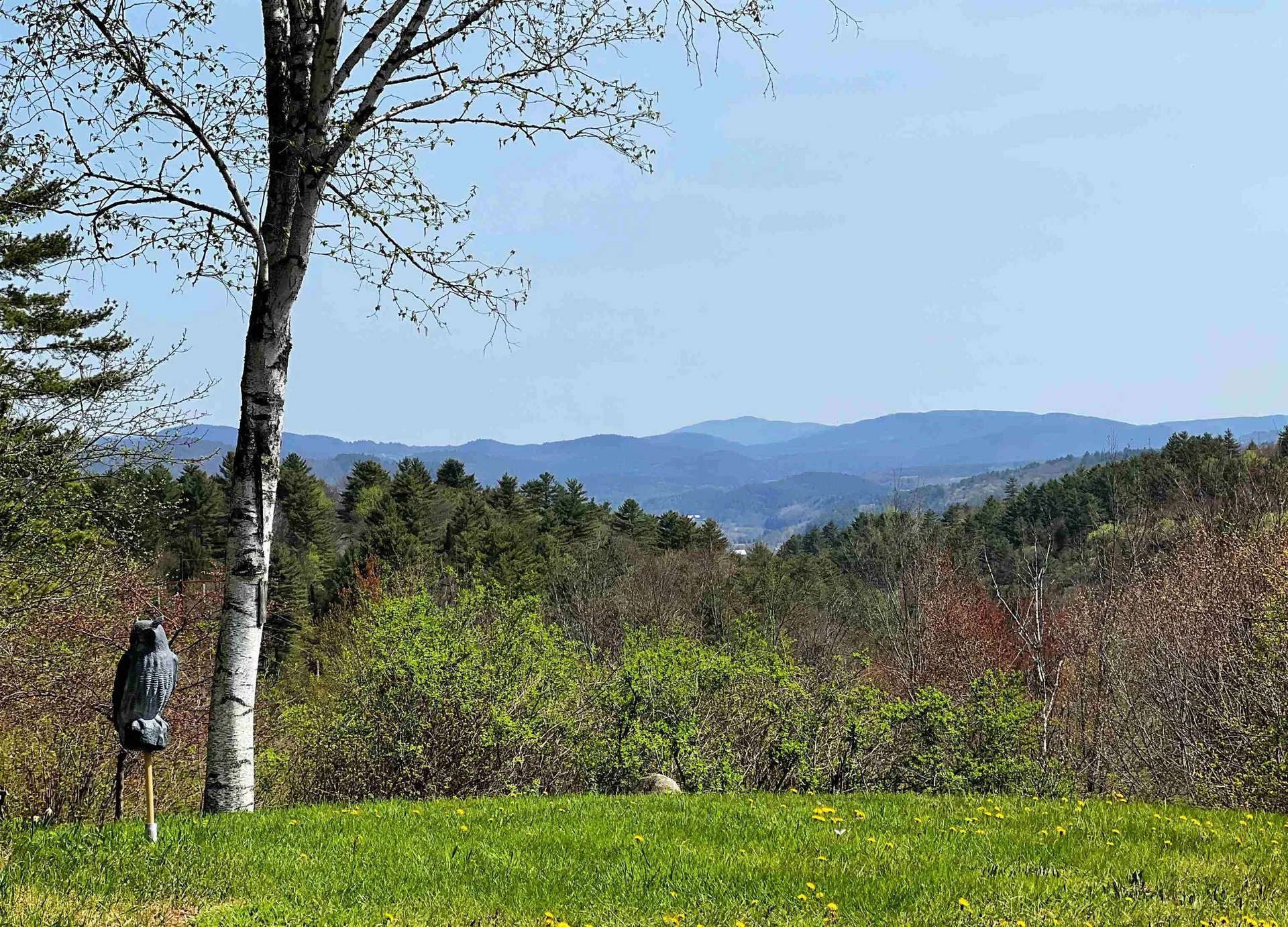 429 Whitehill Road Ryegate VT 05042