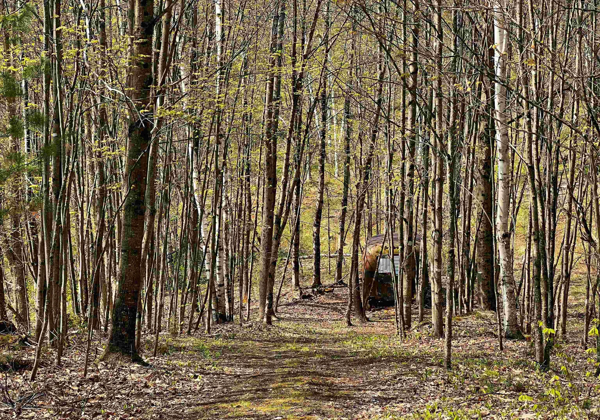429 Whitehill Road Ryegate VT 05042