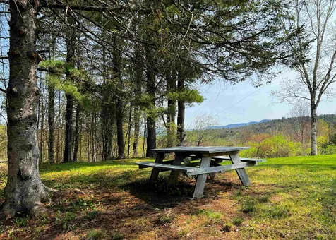 429 Whitehill Road Ryegate VT 05042