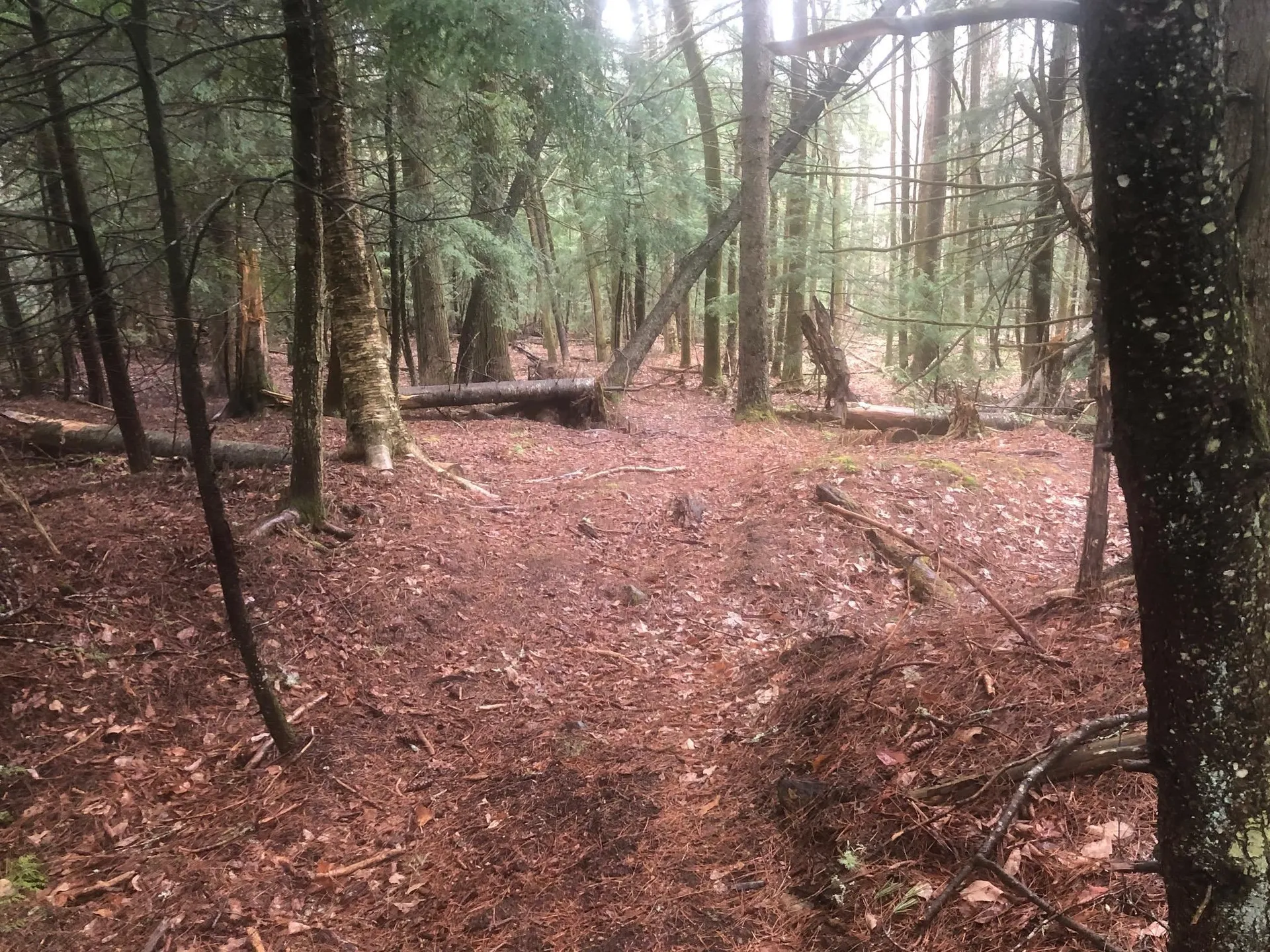Kinsman Road Haverhill NH 03785