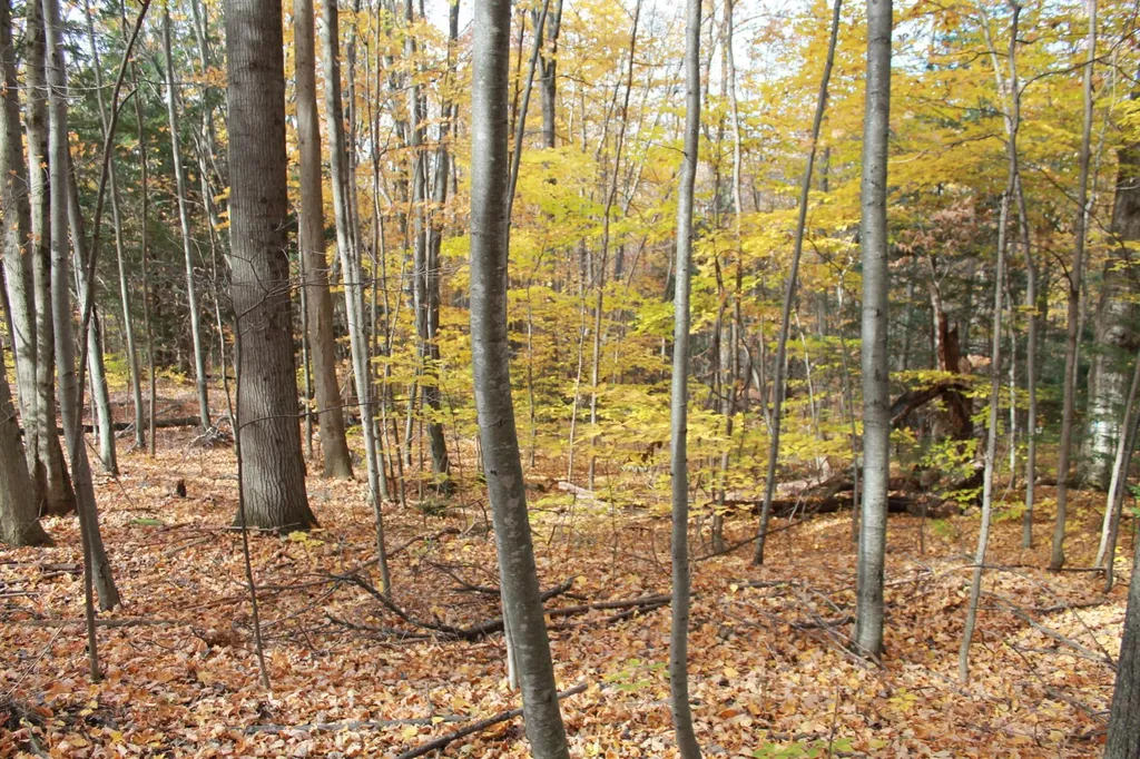 Lot 3 Enos Road Hinesburg VT 05461