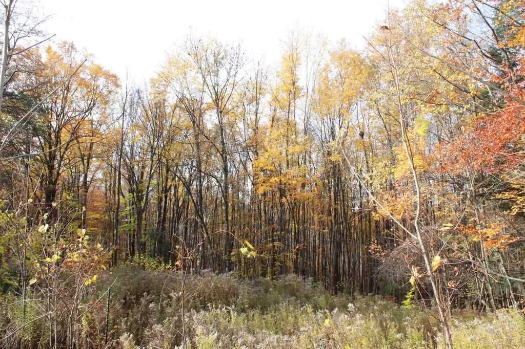 Lot 3 Enos Road Hinesburg VT 05461