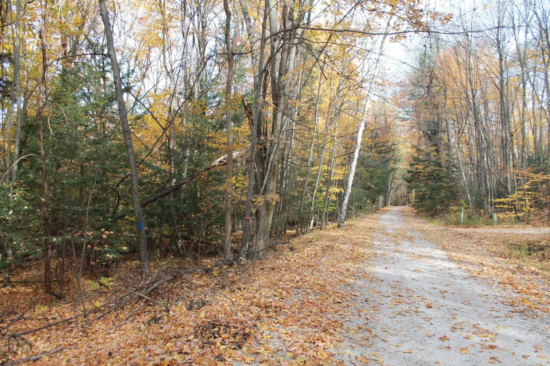 Lot 3 Enos Road Hinesburg VT 05461