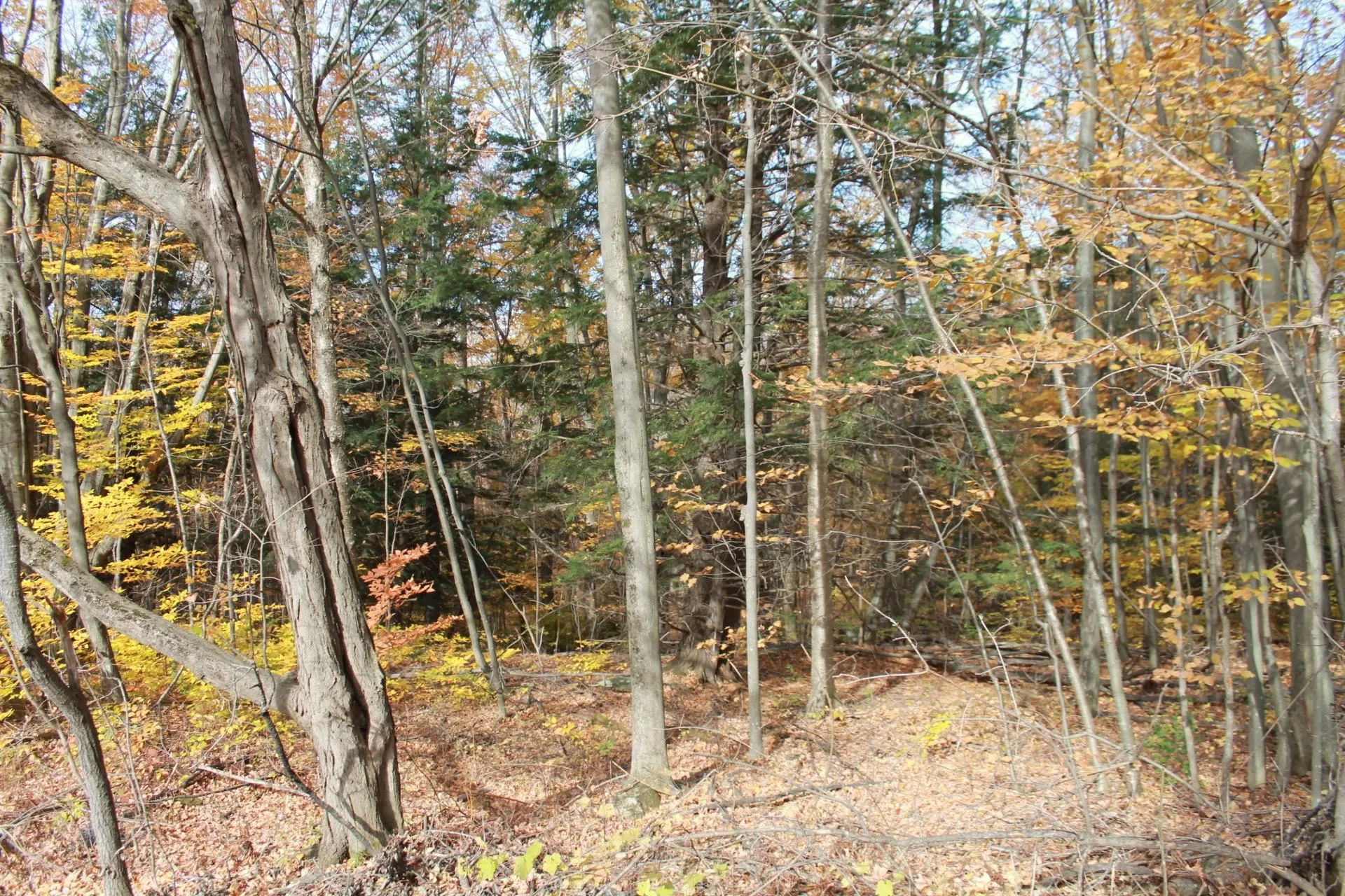 Lot 3 Enos Road Hinesburg VT 05461