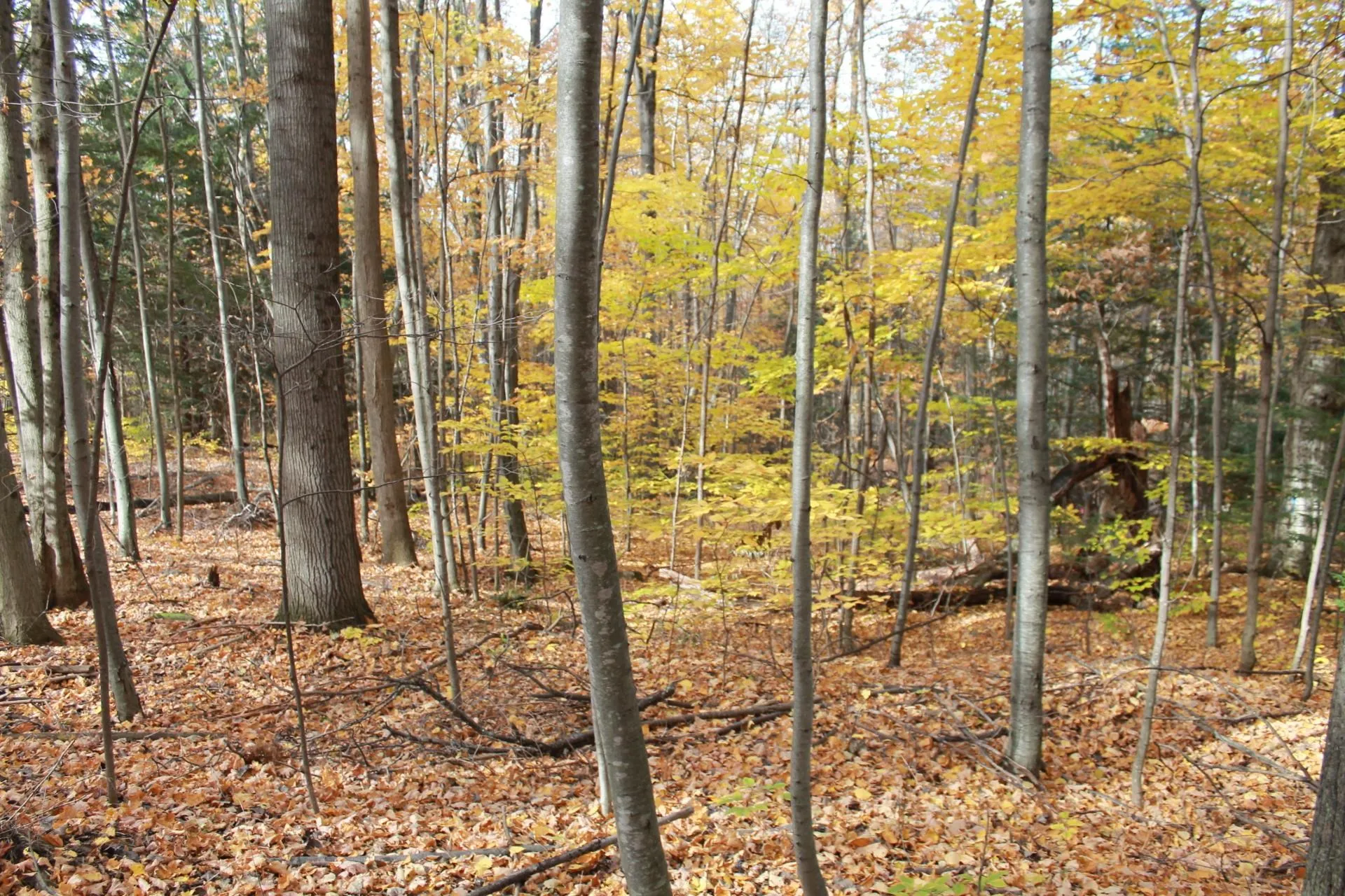 Lot 3 Enos Road Hinesburg VT 05461