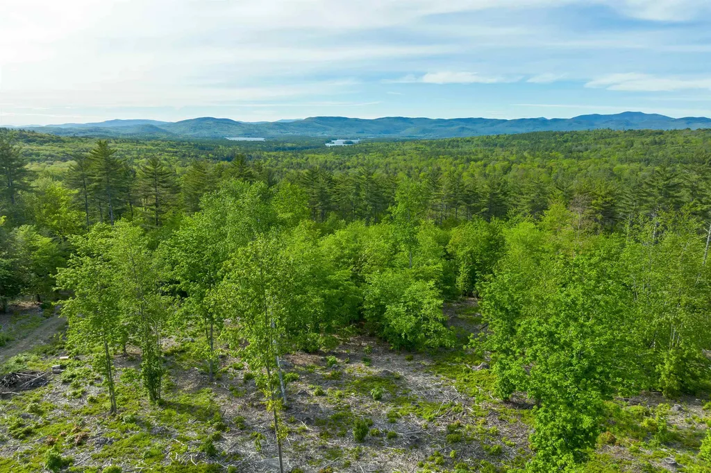 Tuttle Road Meredith NH 03253