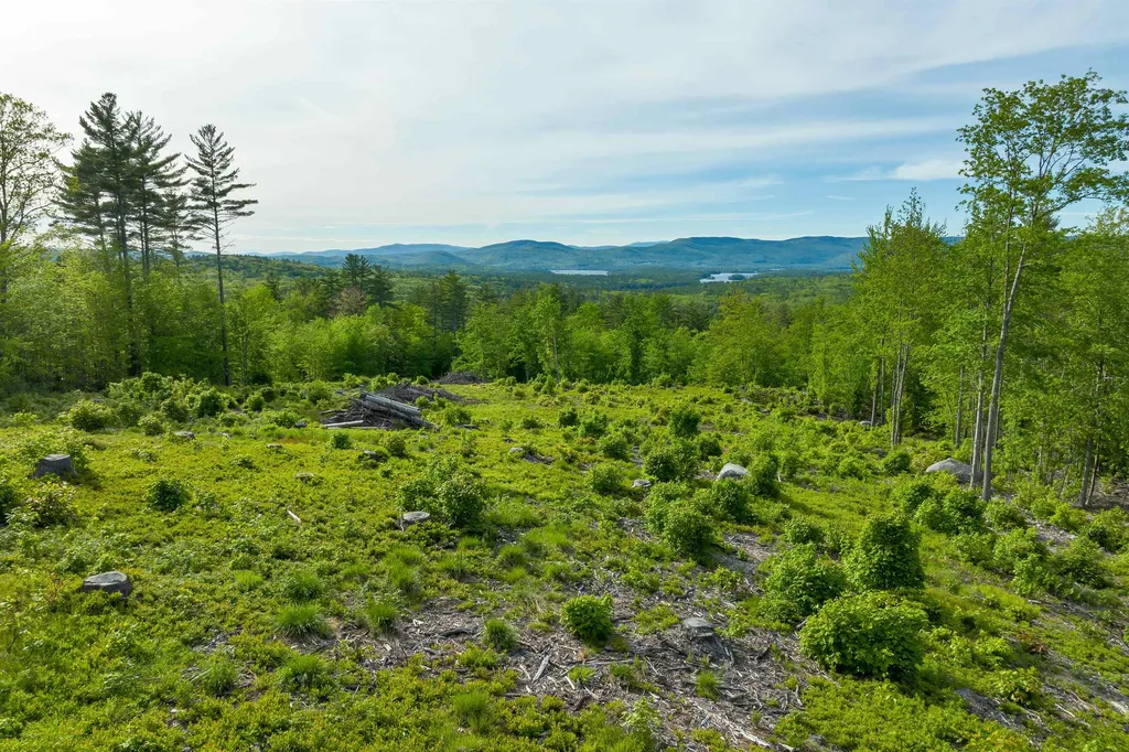 Tuttle Road Meredith NH 03253