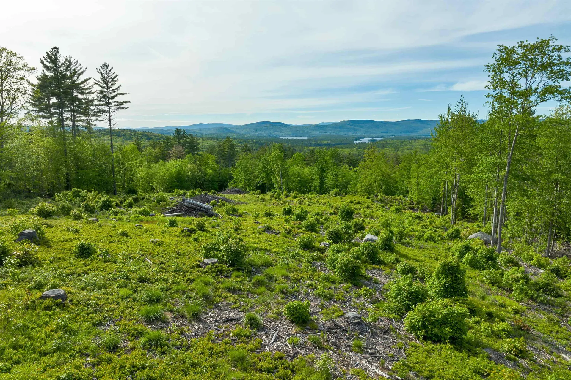 Tuttle Road Meredith NH 03253