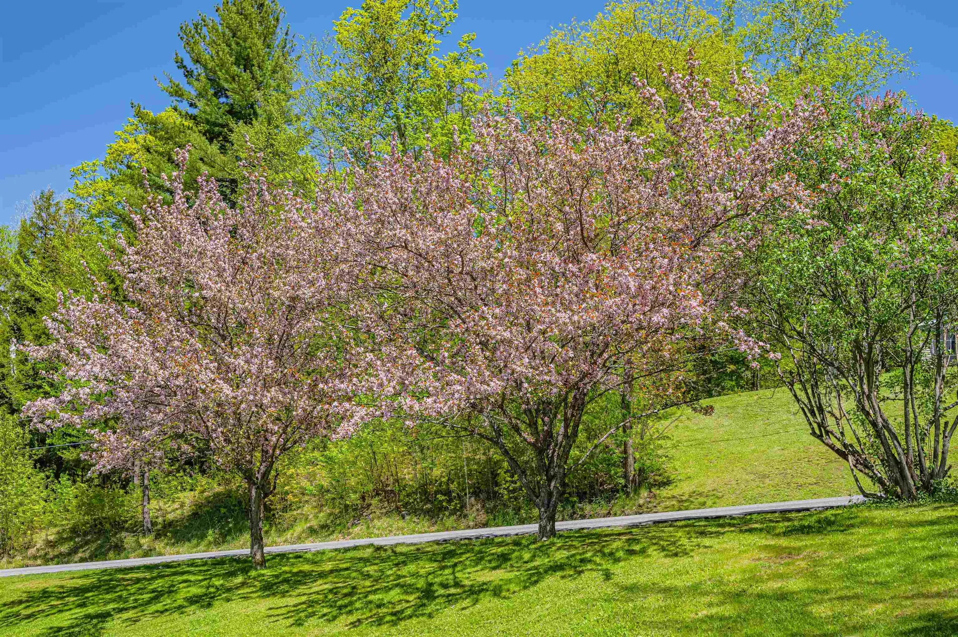 140 Middle Road Barre Town VT 05641