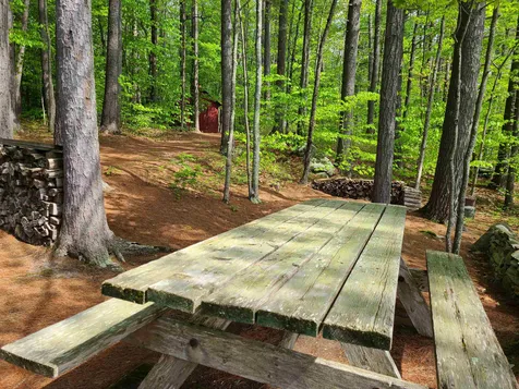 55 Museum Shores Road Wolfeboro NH 03894