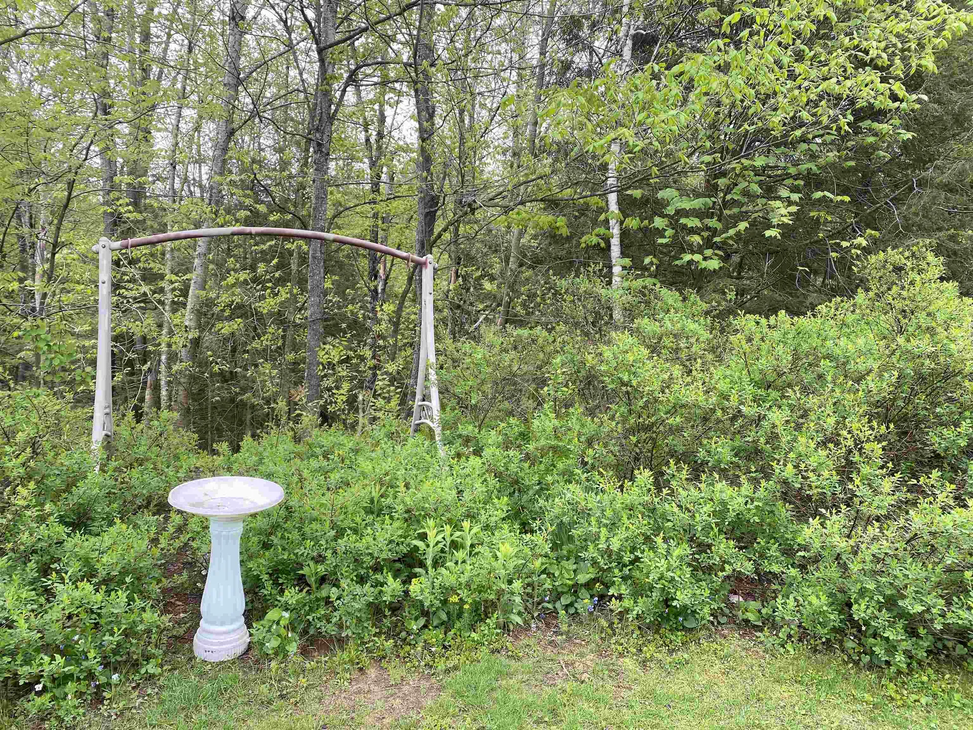220 Redwood Drive Hyde Park VT 05655