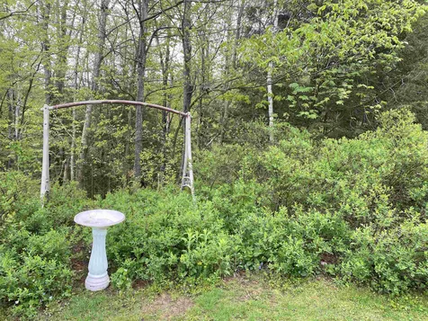 220 Redwood Drive Hyde Park VT 05655