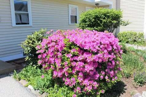 53 Modena Drive Concord NH 03303