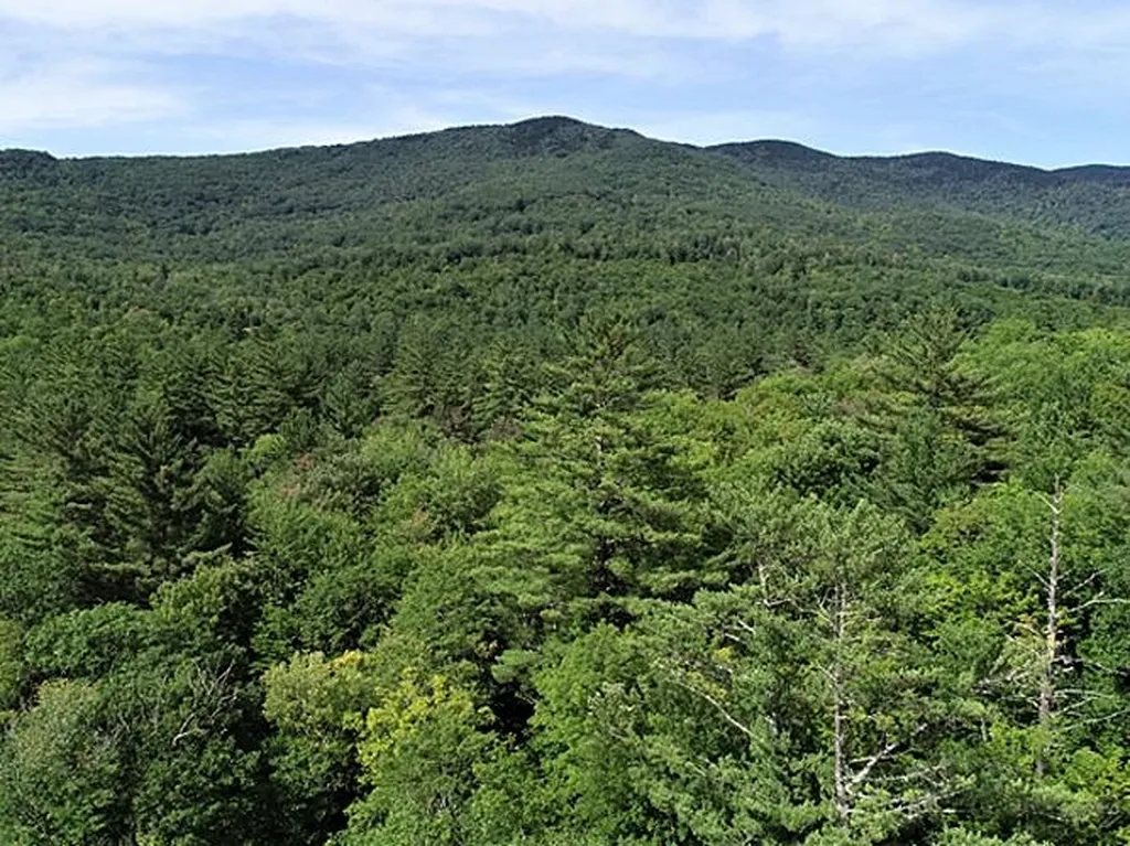 0 Eastern Corner Road Campton NH 03223