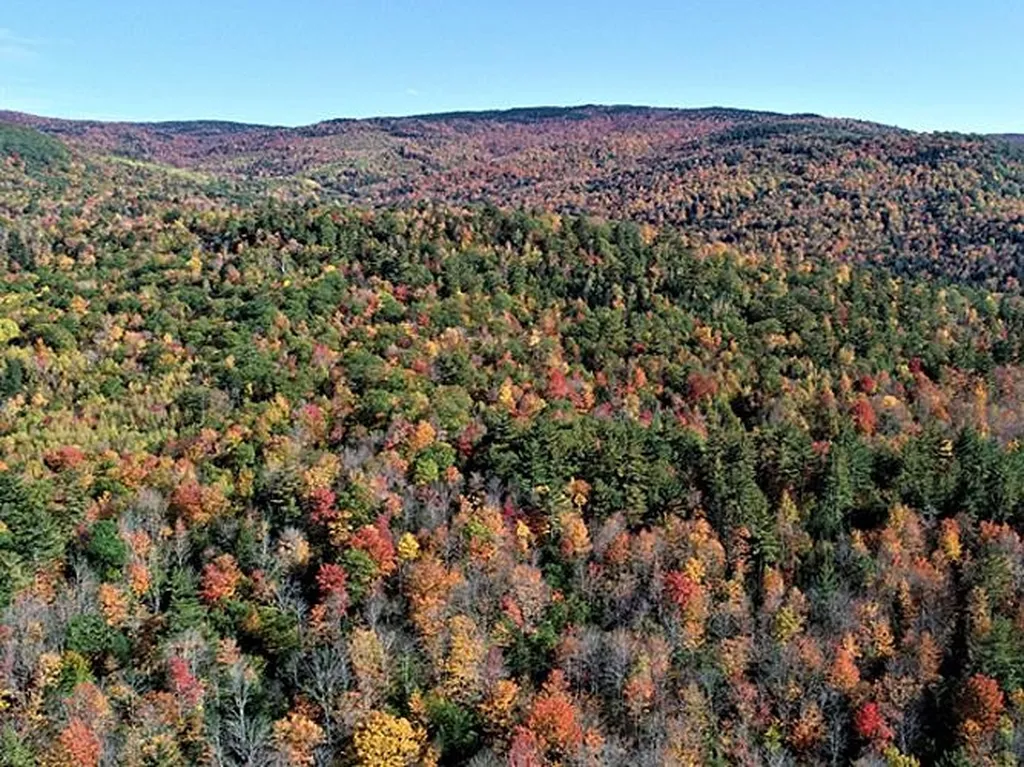 0 Eastern Corner Road Campton NH 03223
