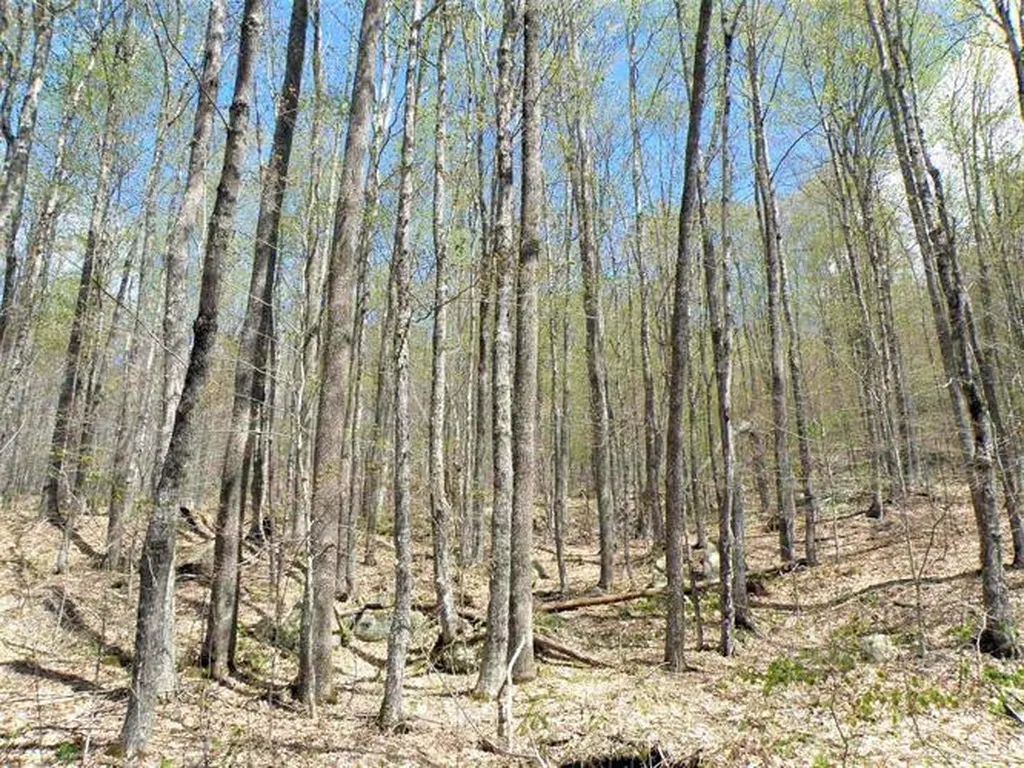 0 Eastern Corner Road Campton NH 03223