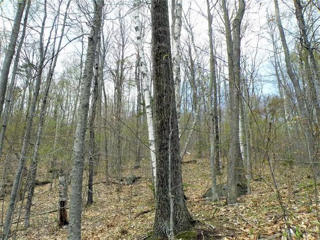 0 Eastern Corner Road Campton NH 03223