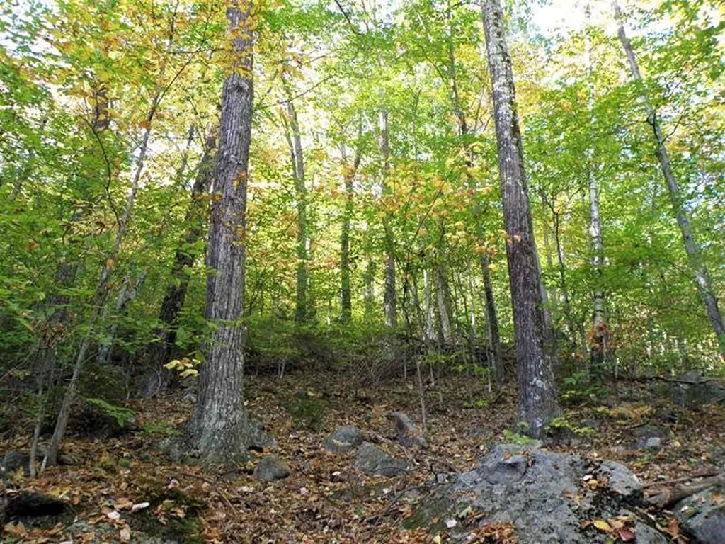 0 Eastern Corner Road Campton NH 03223