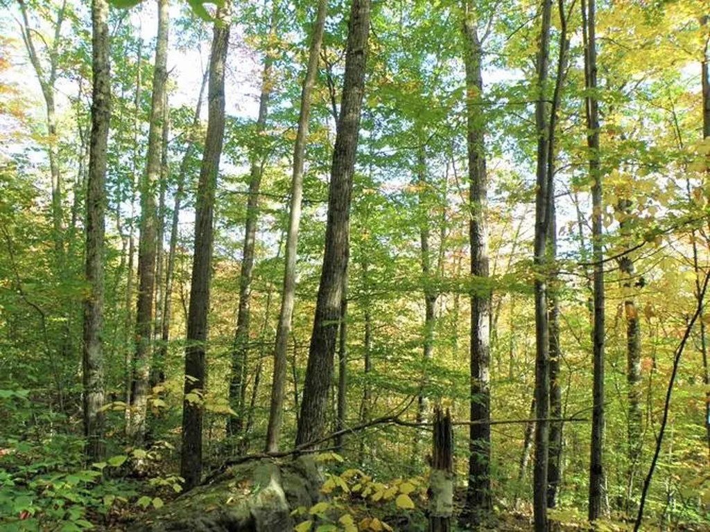 0 Eastern Corner Road Campton NH 03223