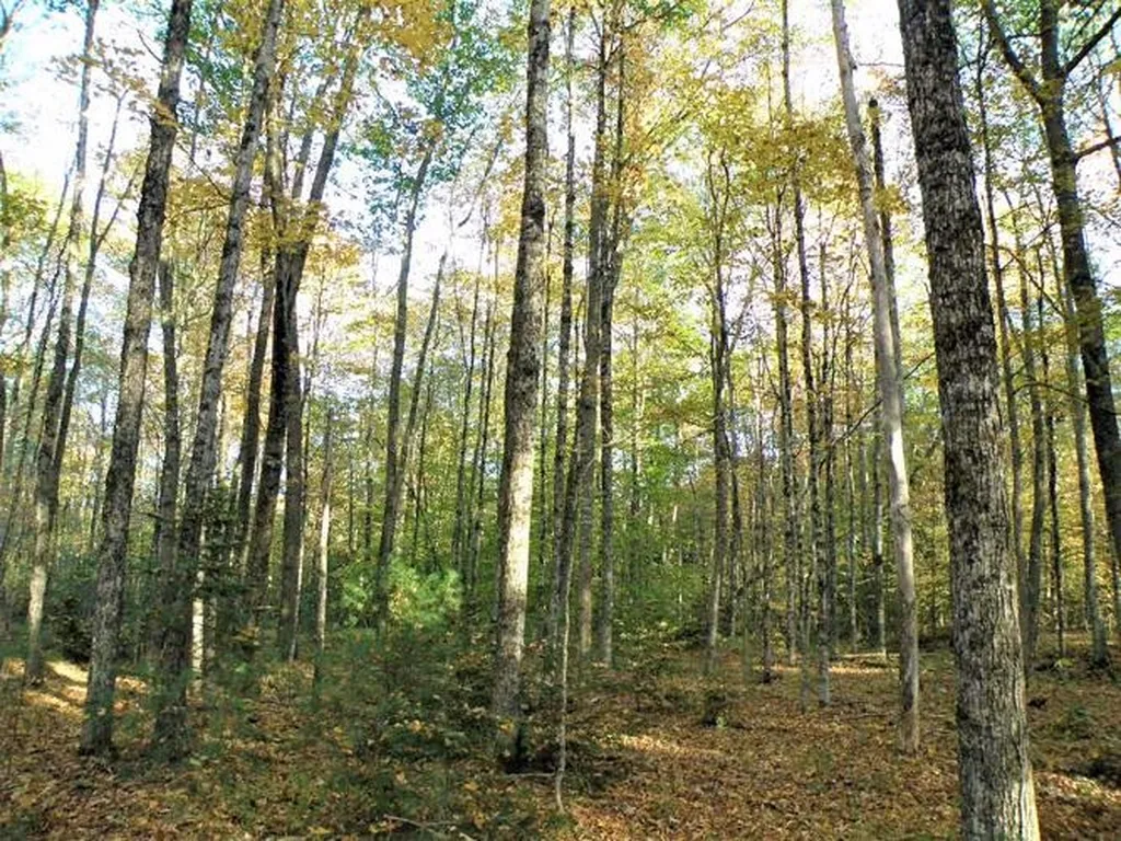 0 Eastern Corner Road Campton NH 03223