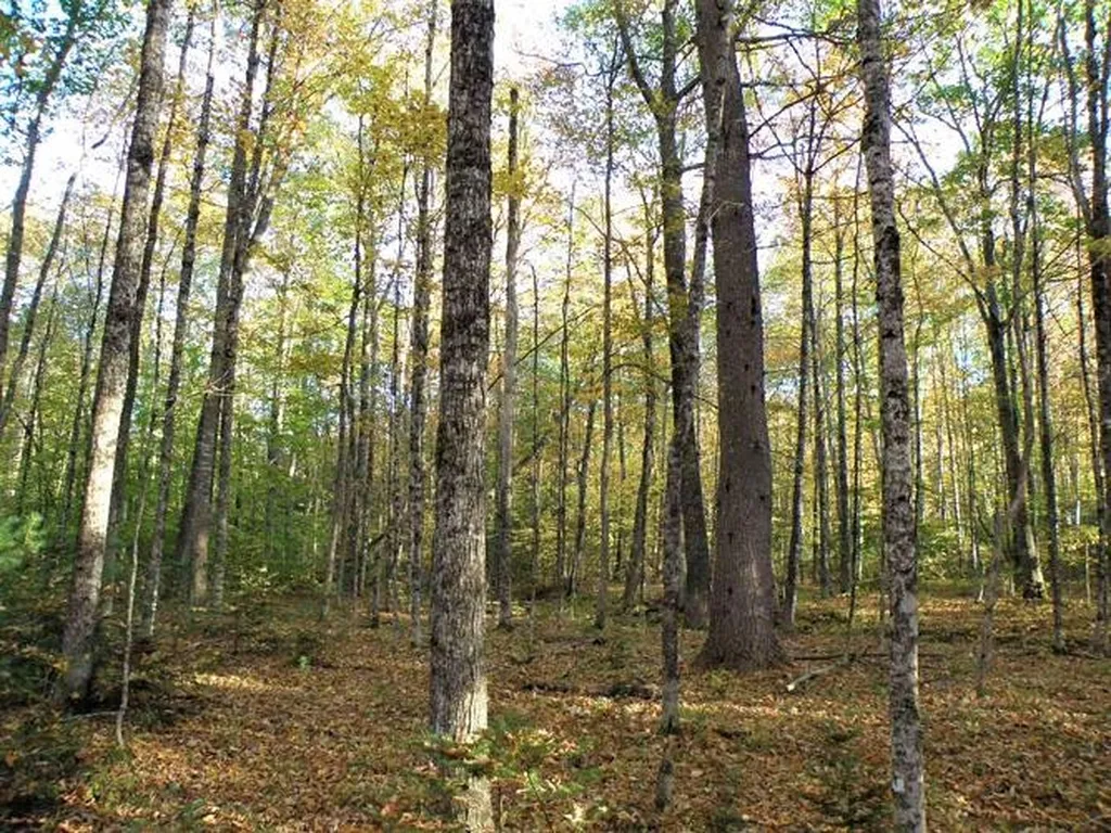 0 Eastern Corner Road Campton NH 03223
