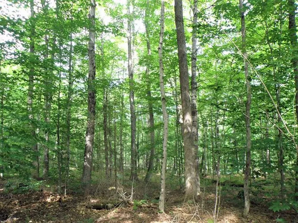 0 Eastern Corner Road Campton NH 03223