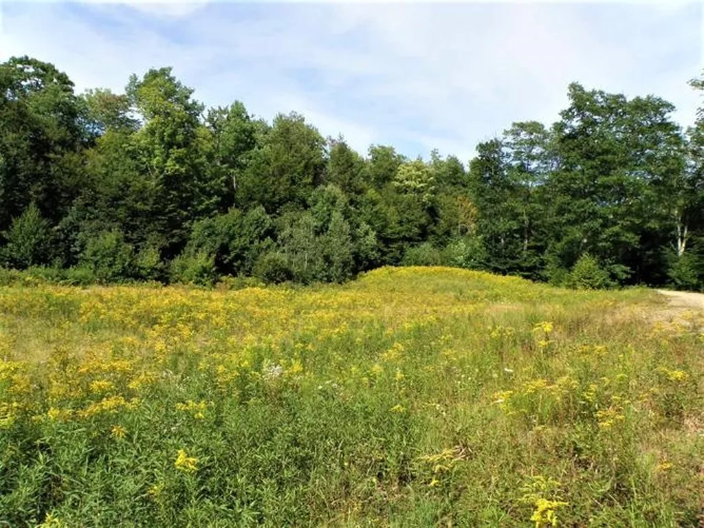 0 Eastern Corner Road Campton NH 03223