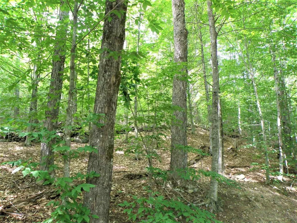0 Eastern Corner Road Campton NH 03223