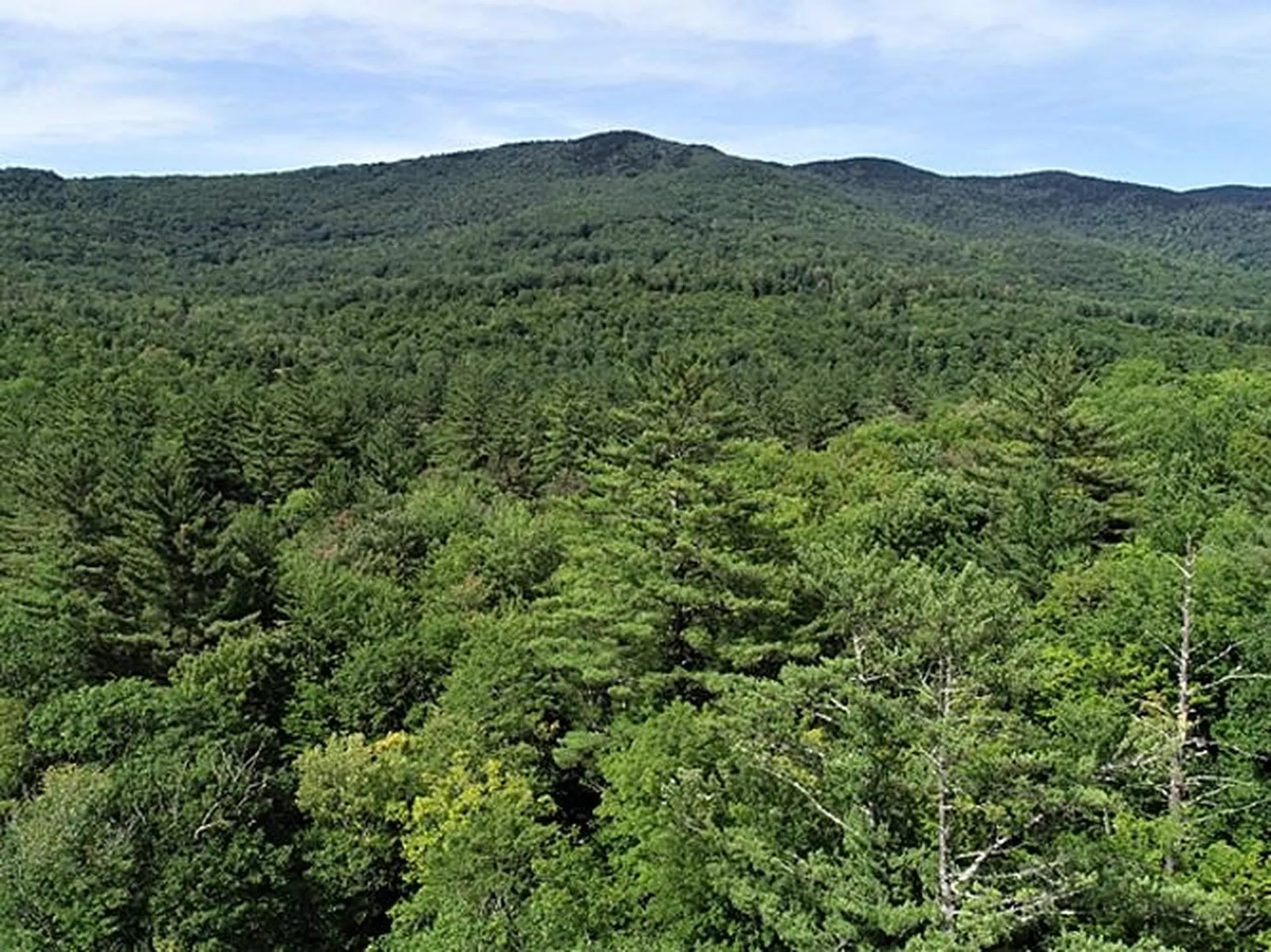 0 Eastern Corner Road Campton NH 03223