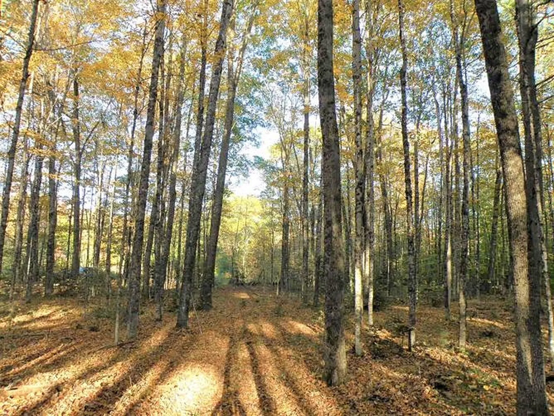 0 Eastern Corner Road Campton NH 03223
